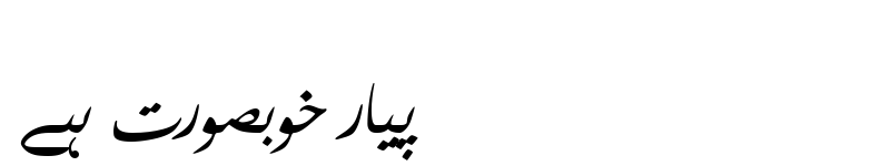 Preview of Farsi Simple Bold Regular