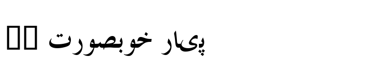 Preview of Traditional Arabic Bold